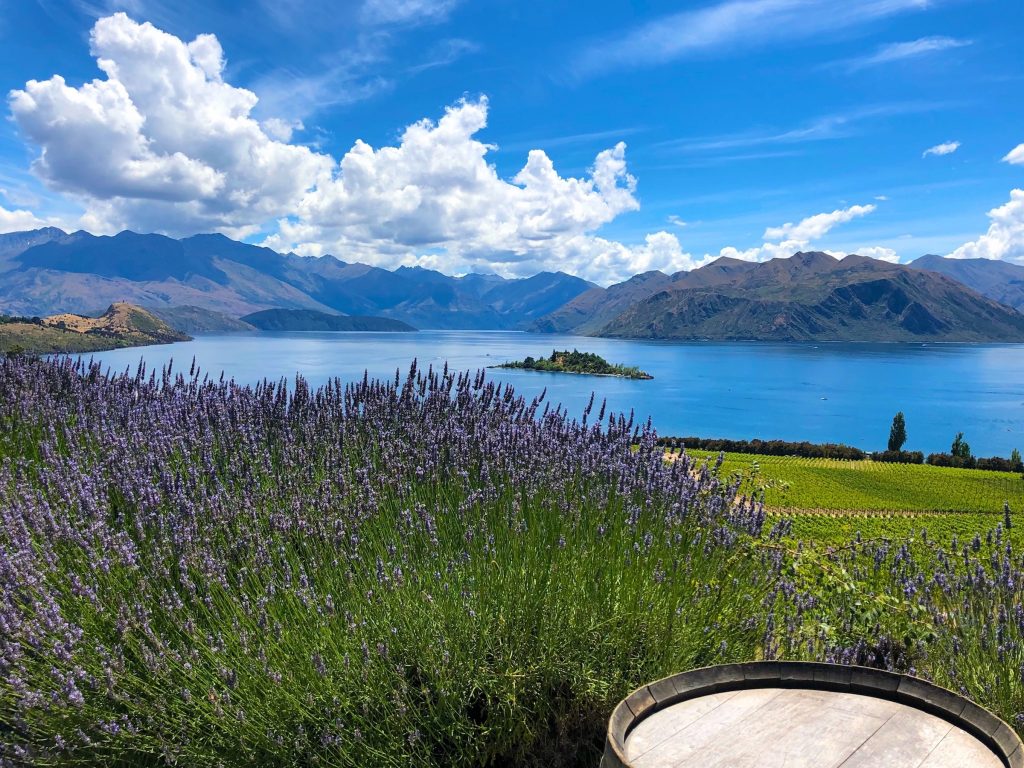 Rippon Winery, Wanaka